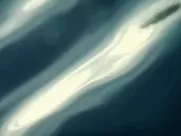 Madison Riley sexy – Besties (2012) great sex scenes