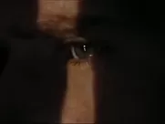 Kelly Hu Nude - Farmhouse (2008) celebrity movie sex scenes