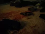 Martha Higareda Nude - Altered Carbon s01e05 (2018) hot sex scenes porn