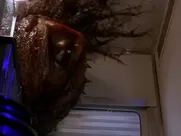 Natasha Henstridge -  SPECIES great sex scenes