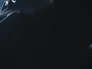 Lyndie Greenwood Nude - Cut to the Chase (2016) best sex scenes on netflix