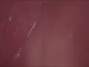 Marine Vacth nude and pussy close-up – L’amant double (2017) explicit sex mainstream cinema nude