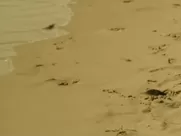 Marta Milans, Veronica Sanchez nude - El Embarcadero s01e03-07 (2018) sex in cinema mainstream videos