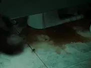 Odette Annable Nude - The Unborn (2009) oral sex in mainstream cinema