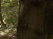 Olivia Colman nude - Confetti (2006) movie sex scenes