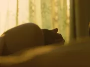 Nude Ruth Negga - The Samaritan (2012) sex mainstream cinema