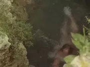 Phoebe Cates Paradise (1982) movie sex scenes porn