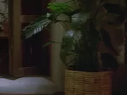 Rebecca De Mornay - And God Created Woman (1988) explicit mainstream cinema sex