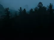 Sex video Polar (2919) Ruby O Fee Netflix Movie Sex Scene oral sex in mainstream cinema