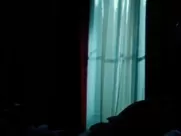 Shailene Woodley Nude - Snowden (2016) real sex in mainstream cinema