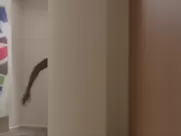 Wendy McColm, Nora Kirkpatrick Nude - Pink Grapefruit (2015) softcore sex scene