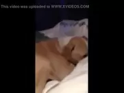 The Big Bang Theory's Kaley Cuoco sucks cock and gets facialized best sex scenes porn