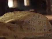 Sexy Elle Fanning loves getting it on in oral and vaginal ways in the TV series The Great sex scene xvideos