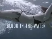 Willa Holland Sexy - Blood In The Water (2016) oral sex in mainstream cinema