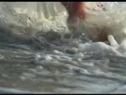 Sexy video The Naked Girls from Private School real sex scene