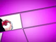 The Beauty Cosplay Girl Masturbate mainstream cinema sex cum