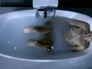 Alexia Barlier - Falco (2015-2016)