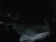 Stacy Martin - Lovers (2020)