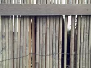 Katherine Moennig The L Word Season 1 Episode 1 Pilot 1