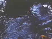 Simone Griffeth Sixteen 1