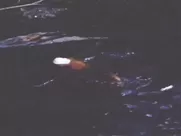 Simone Griffeth Sixteen 1