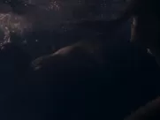 Begoña Vargas - Las leyes de la frontera (2021)