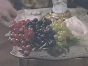 Lena Olin The Night And The Moment 1