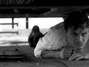 Saralisa Volm Figaros Wölfe 2017