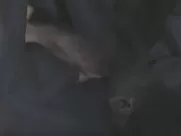 Kathleen Morgeneyer Toechter 2014