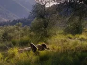 Grace Seri - Un violent désir de bonheur (2018)