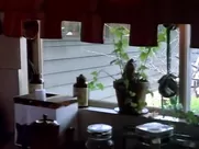 Candice Rialson  - Candy Stripe Nurses (1974)