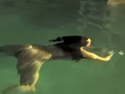 Danielle Ferreira - 20 Year Old Virgins (2011)