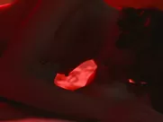 Carla Gugino, Gaite Jansen - Leopard Skin (s01, 2022)