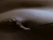 Silke - Tuno Negro (2001)