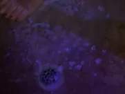 Mia Sara - Birds of Prey s01e02 (2002)