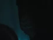 Le bazar de la charité