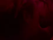 Helena Englert, Ewa Ekwa, Katarzyna Kraszewska - Pokusa (2023)