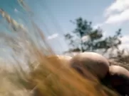 Magdalena Boczarska, Katarzyna Sawczuk - Heaven in Hell (2022)