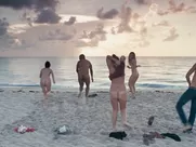 After the Wedding (2017) nude on the beach scene