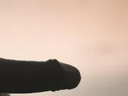 Suzy Lopes, Marcelia Cartaxo - Moído (2016)