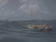 Alice Carvalho - Cangaço Novo (s01, 2023)