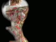 Fanny Cottençon - Poil de carotte (2003)