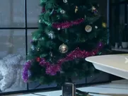 Yuliya Kudoyar - Speshite lubit (2014)