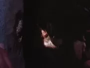 Destroyer- the shower scene