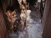 Bare Behind Bars- the first shower scene