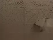Hot Times at Montclair High- the shower scene