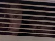 Hot Times at Montclair High- the shower scene