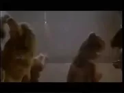 Scorpion in USA - Shower scene