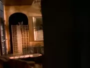 Playboy's Babes of Baywatch