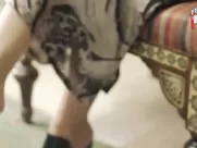 Donia El Masry - Al-Beet Al-Kebeer (2018)